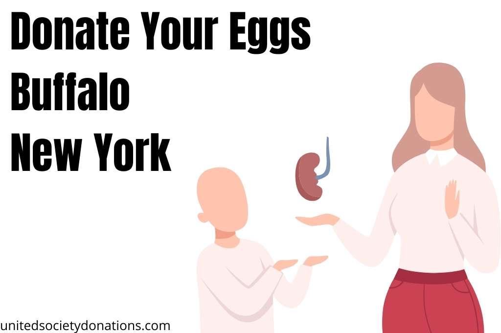 Donate your eggs buffalo