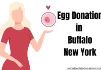 Egg Donation in Buffalo New York