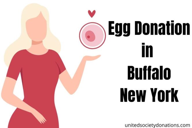 Egg Donation in Buffalo New York