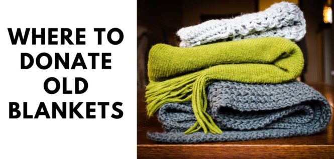 Where to Donate Old Blankets in 2022