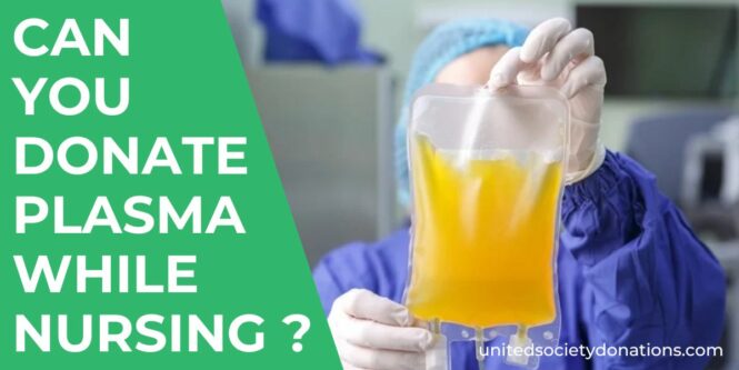 Can You Donate Plasma While Nursing