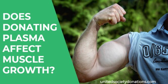 Does Donating Plasma Affect Muscle Growth?