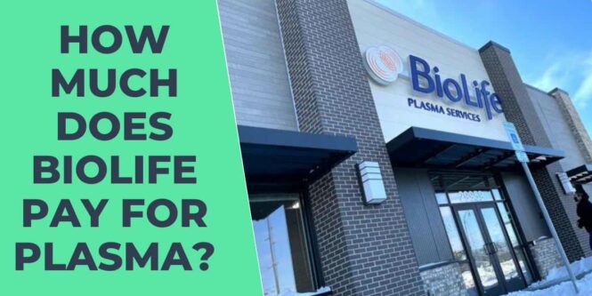 How Much Does Biolife Pay for Plasma?