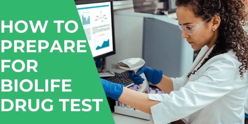 How to Prepare for Biolife Drug Test